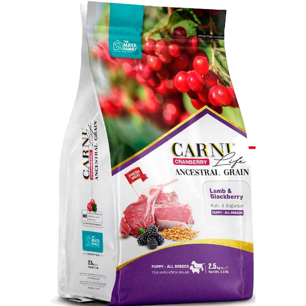 Carni Life Köpek Maması Puppy 2.5 Kg Kuzu Eti Böğütlen Kızılcık 8683347071357 Amazon Pet Center