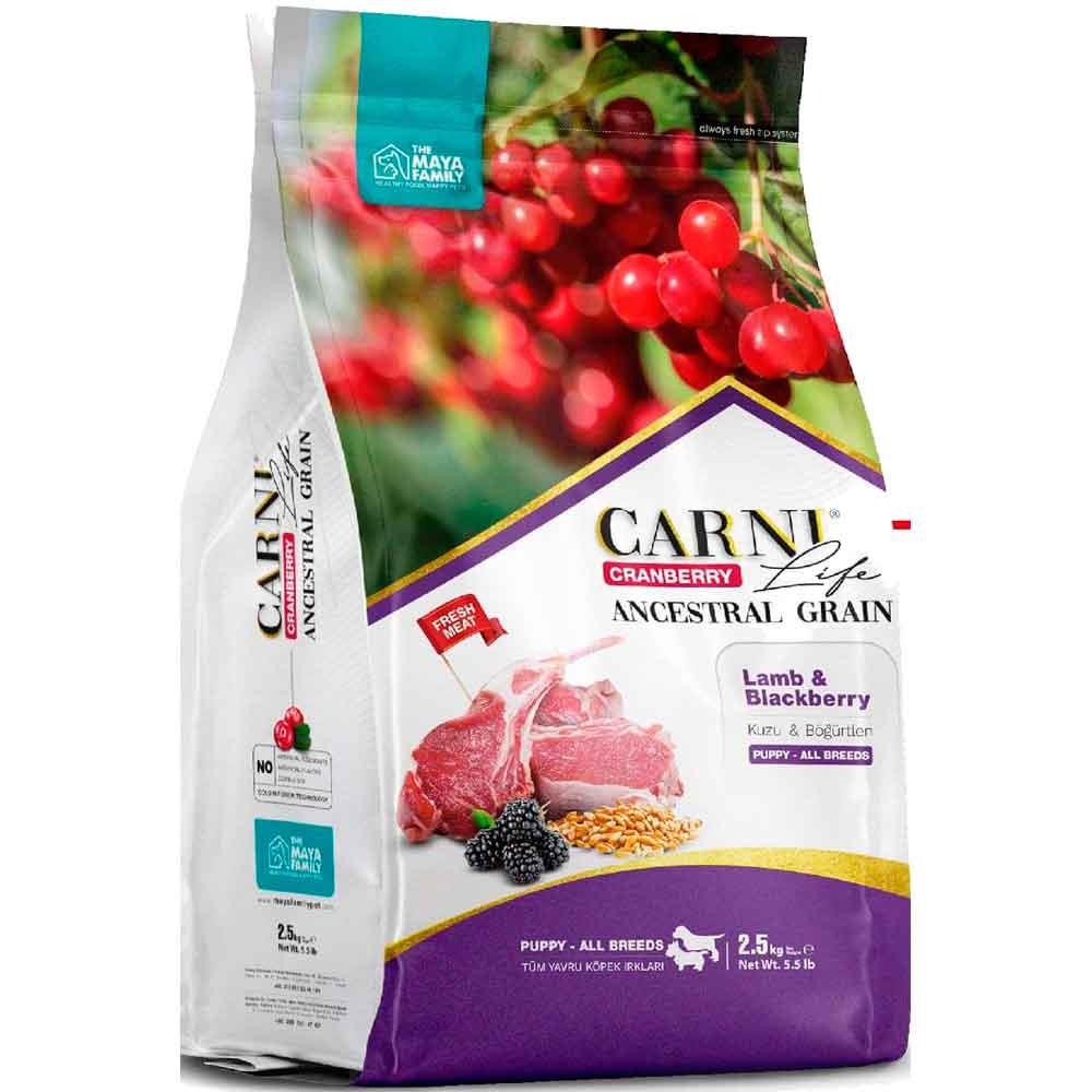 Carni Life Köpek Maması Puppy 7 Kg Kuzu Eti Böğütlen Kızılcık 8683347071395 Amazon Pet Center