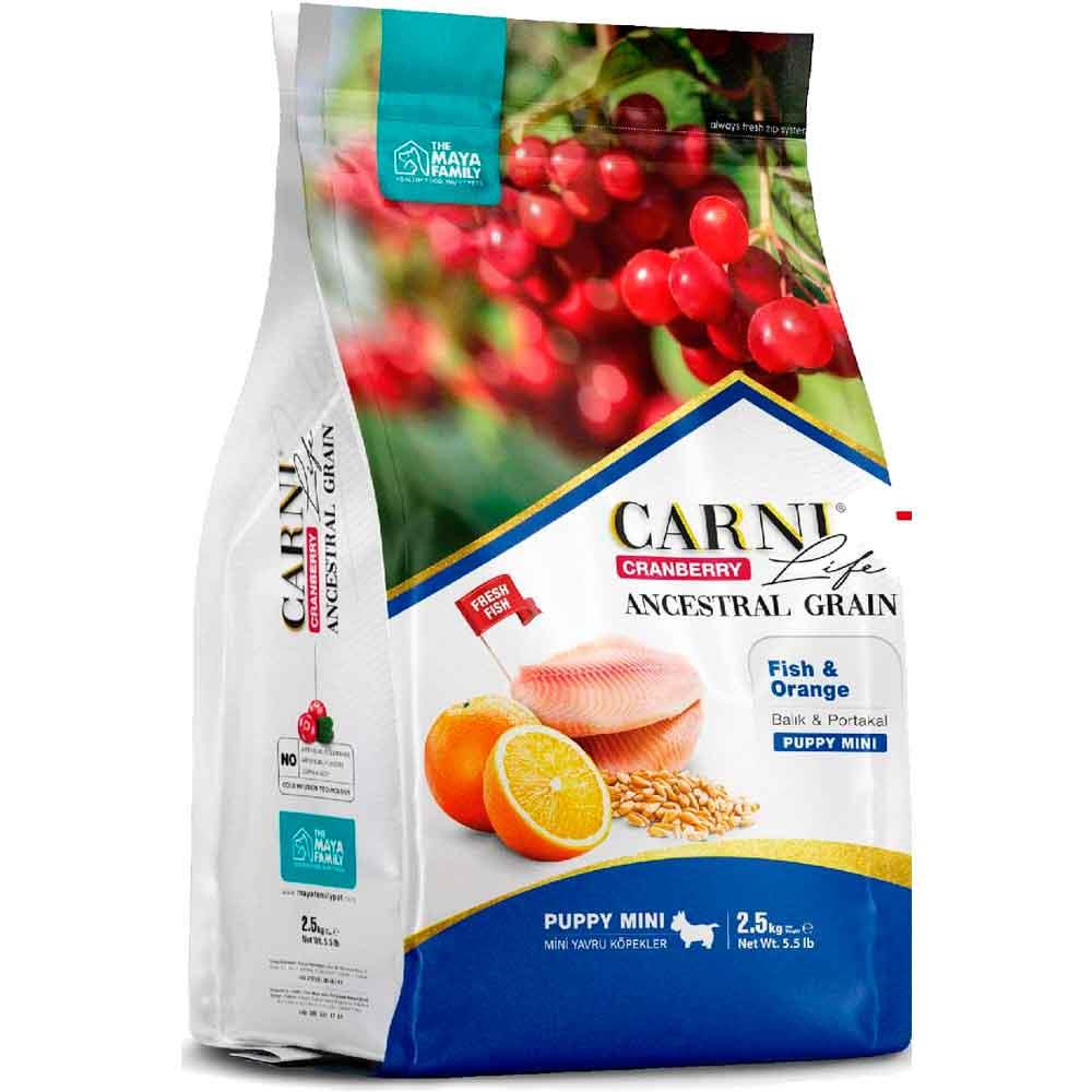 Carni Life Köpek Maması Puppy Mini 2.5 Kg Balık Portakal Kızılcık 8683347070640 Amazon Pet Center