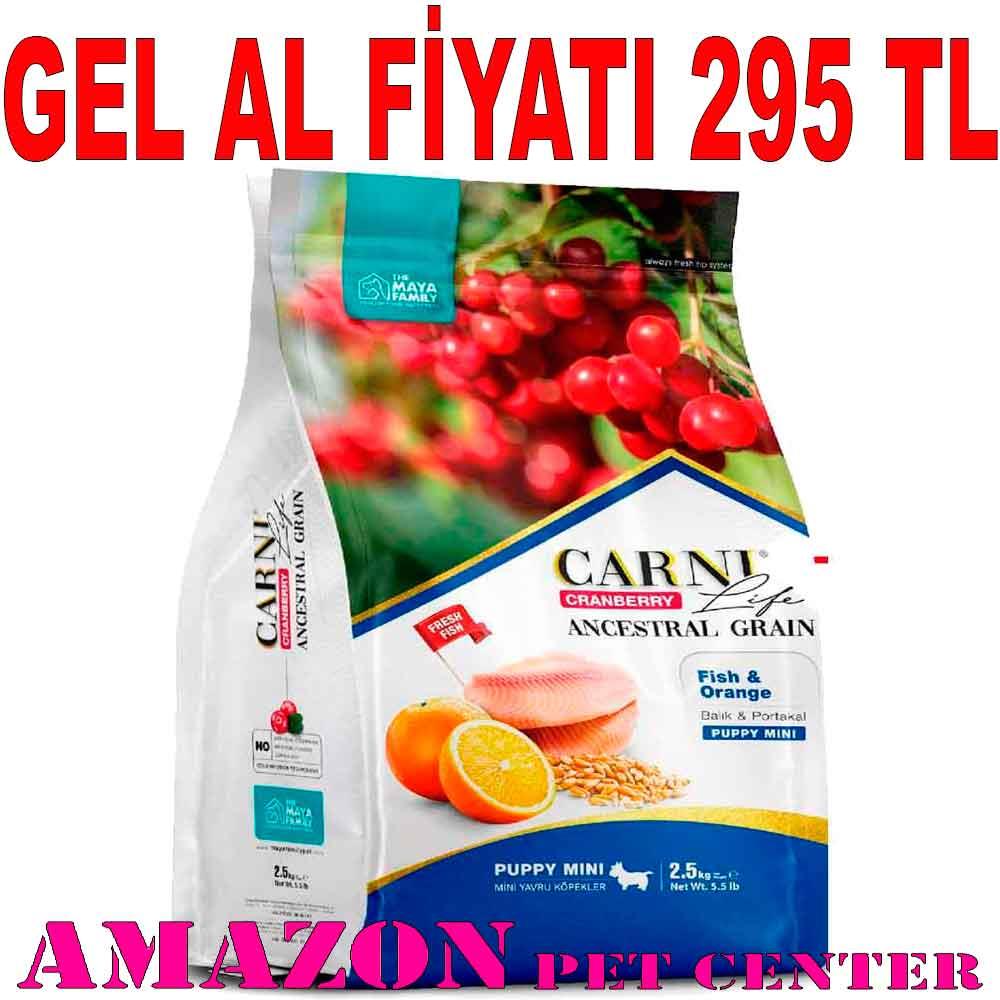 Carni Life Köpek Maması Puppy Mini 2.5 Kg Kızılcık Balık Portakal 8683347070640 Amazon Pet Center