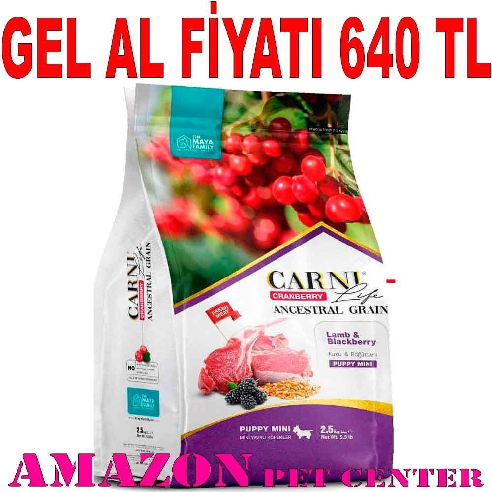 Carni Life Köpek Maması Puppy Mini 7 Kg Kızılcık Kuzu Eti Böğütlen 8683347071425 Amazon Pet Center