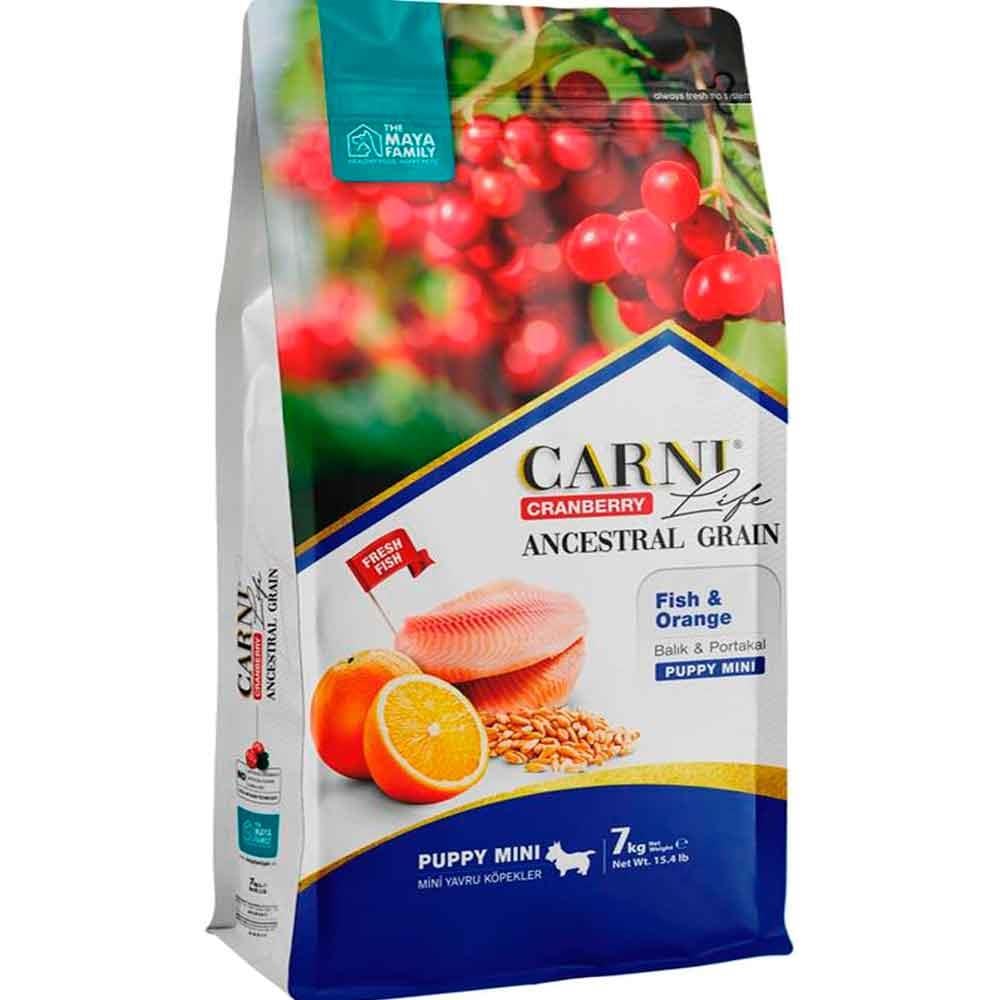 Carni Life Köpek Maması Puppy Mini 7 Kg Balık Portakal Kızılcık 8683347070794 Amazon Pet Center