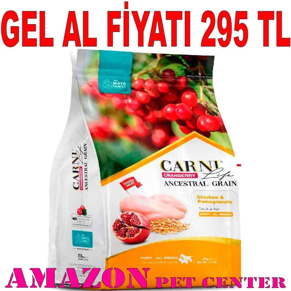 Carni Life Puppy Mini 2.5 Kg Kızılcık Tavuk Nar 8683347070633 Amazon Pet Center