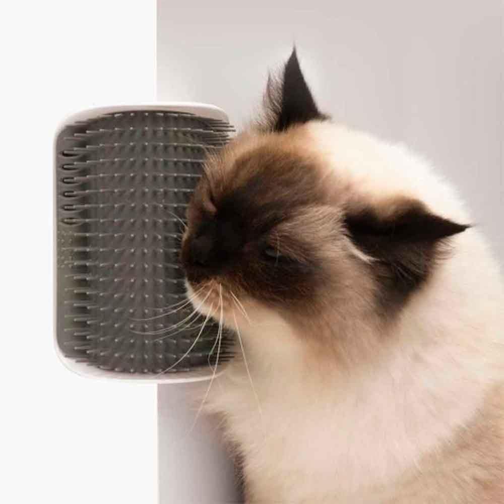 Catit Senses Self Groomer Kedi Kaşınma Aparatı 022517431528 Amazon Pet Center