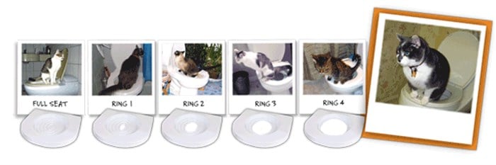 Citi Kitty Kedi Tuvalet Eğitim Seti Klozet Alıştırma Aparatı