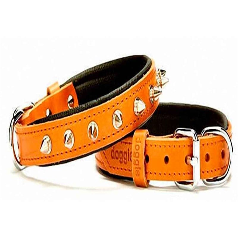 Doggie Comfort Çivili Deri Köpek Boyun Tasması Camel SBT-2512 8680782101052 Doggie Köpek Boyun Tasmaları Amazon Pet Center