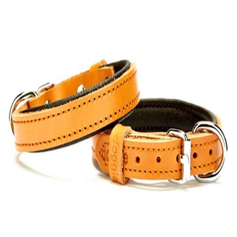 Doggie Comfort Deri Boyun Tasması 1510 S Kamel 8680782100055 Doggie Köpek Boyun Tasmaları Amazon Pet Center