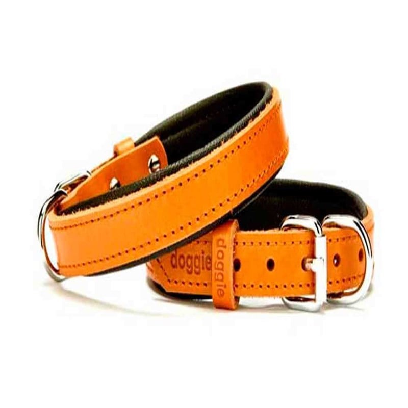 Doggie Comfort Deri Köpek Boyun Tasması SBT-1510 Kamel 8680782100109 Doggie Köpek Boyun Tasmaları Amazon Pet Center