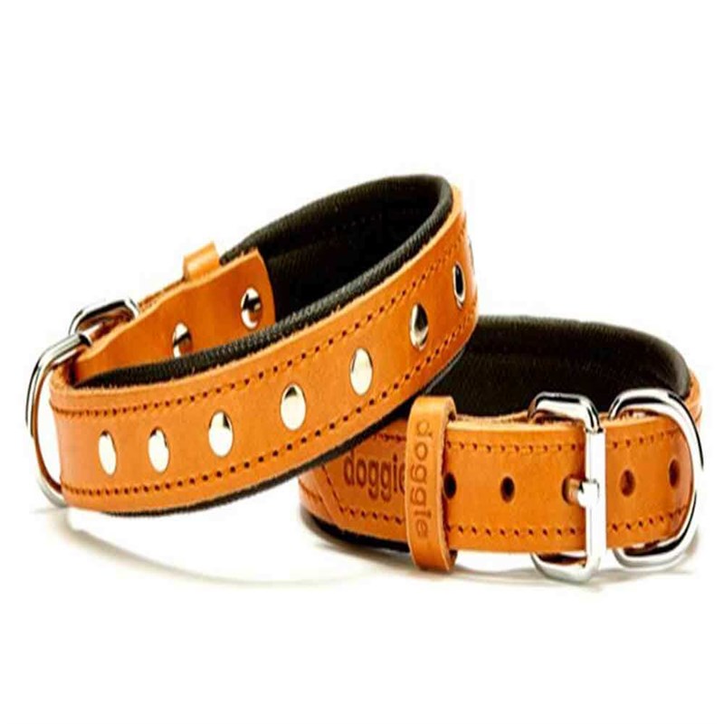 Doggie Comfort Rivet Desenli Deri Köpek Boyun Tasması SBT-2011 M Kamel 8680782100604 Doggie Köpek Boyun Tasmaları Amazon Pet Center