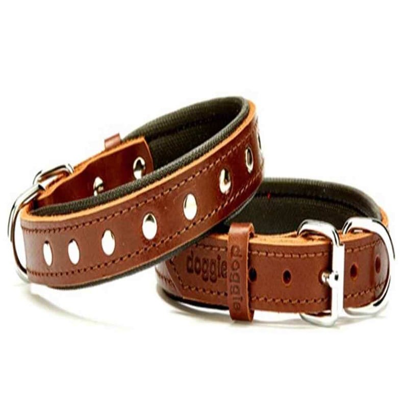 Doggie Comfort Rivet Desenli Deri Köpek Boyun Tasması SBT-2011 M Kahverengi 8680782100574 Doggie Köpek Boyun Tasmaları Amazon Pet Center