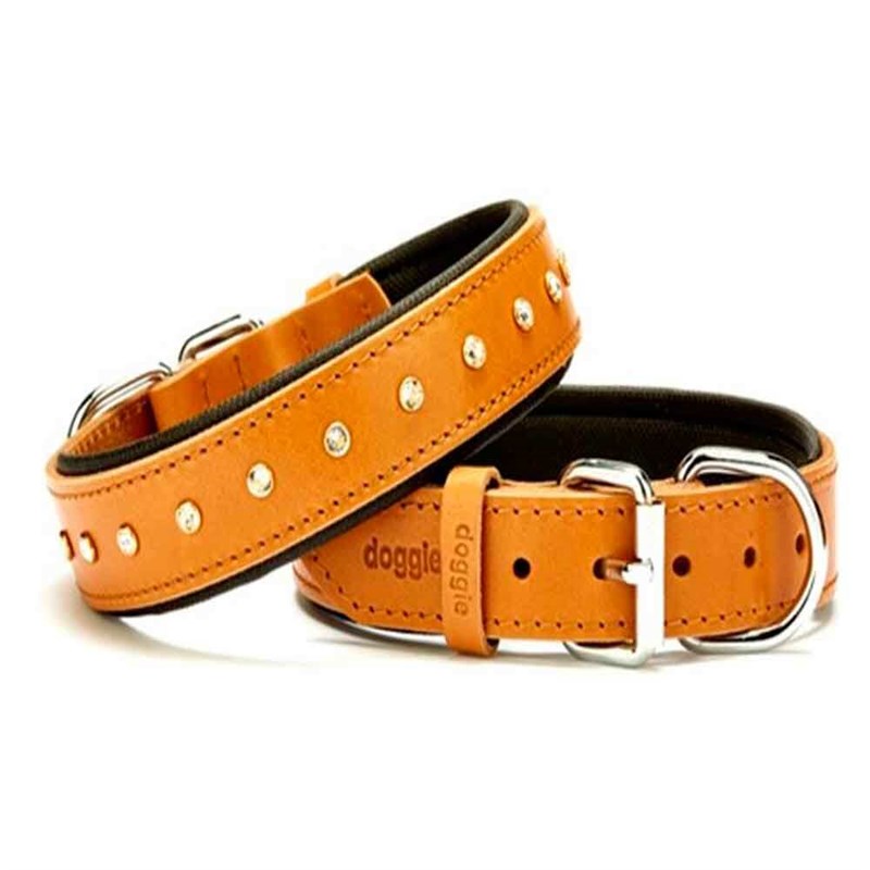 Doggie Comfort Rivetli Deri Boyun Tasması Kamel SBT-3011 3,0x55 cm 8680782100703 Doggie Köpek Boyun Tasmaları Amazon Pet Center