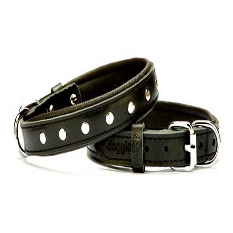 Doggie Comfort Rivetli Deri Boyun Tasması 2011 M Black 8680782100567 Doggie Köpek Boyun Tasmaları Amazon Pet Center