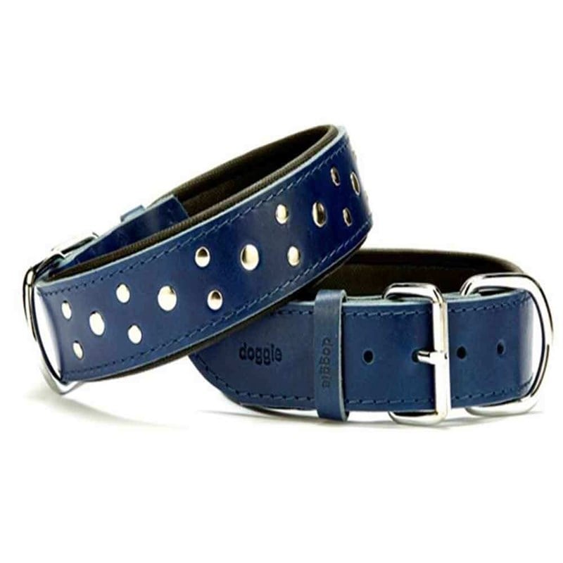 Doggie Comfort Rivetli Deri Boyun Tasması Mavi SBT-4011 4,0x65 cm  8680782100840 Doggie Köpek Boyun Tasmaları Amazon Pet Center