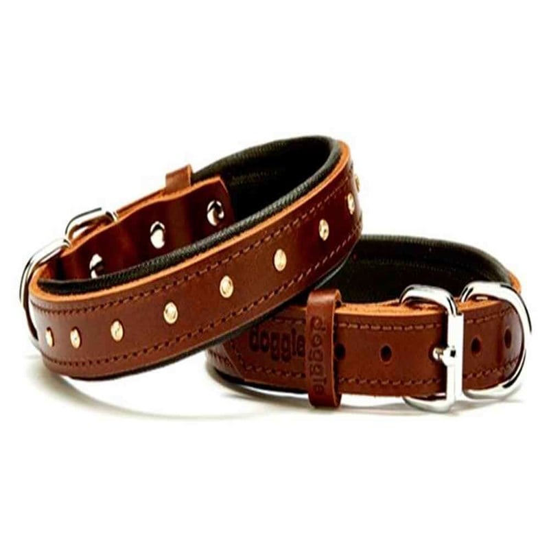 Doggie Comfort Rivetli Deri Boyun Tasması Kahverengi SBT-3011 3,0x55 cm 8680782100673 Doggie Köpek Boyun Tasmaları Amazon Pet Center