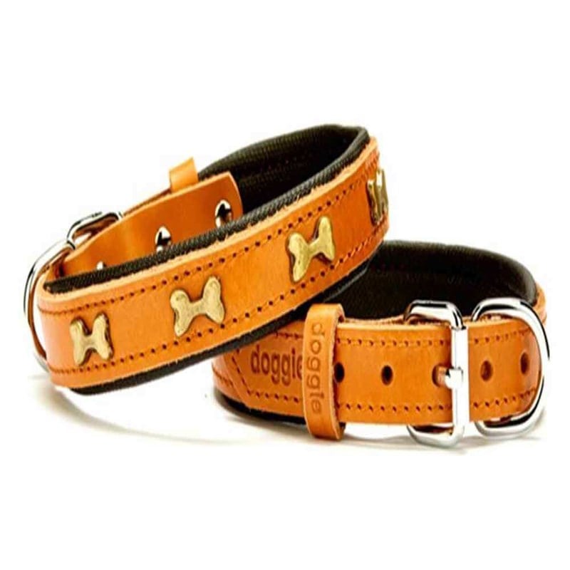 Doggie Comfort Yumuşak Dokulu Metal Kemik Süslü Köpek Boyun Tasması SBT-2062-S Kamel 8680782104862 Doggie Köpek Boyun Tasmaları Amazon Pet Center