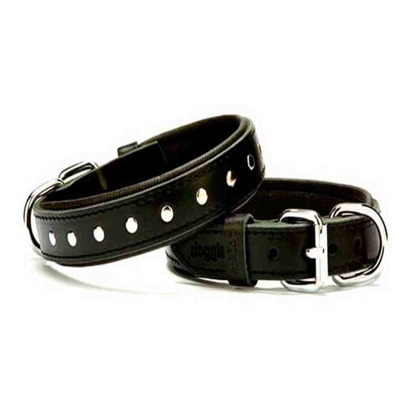 Doggie Comfort Yumuşak Dokulu Rivetli Köpek Boyun Tasması SBT-3511 Siyah 8680782100710 Doggie Köpek Boyun Tasmaları Amazon Pet Center