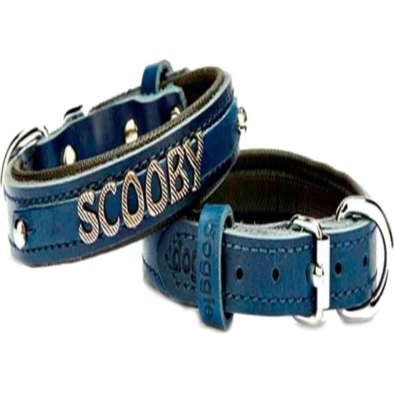 Doggie Deri İsimlikli Boyun Tasması Royal Blue SBT 2514 M 8680782101540 Doggie Köpek Boyun Tasmaları Amazon Pet Center