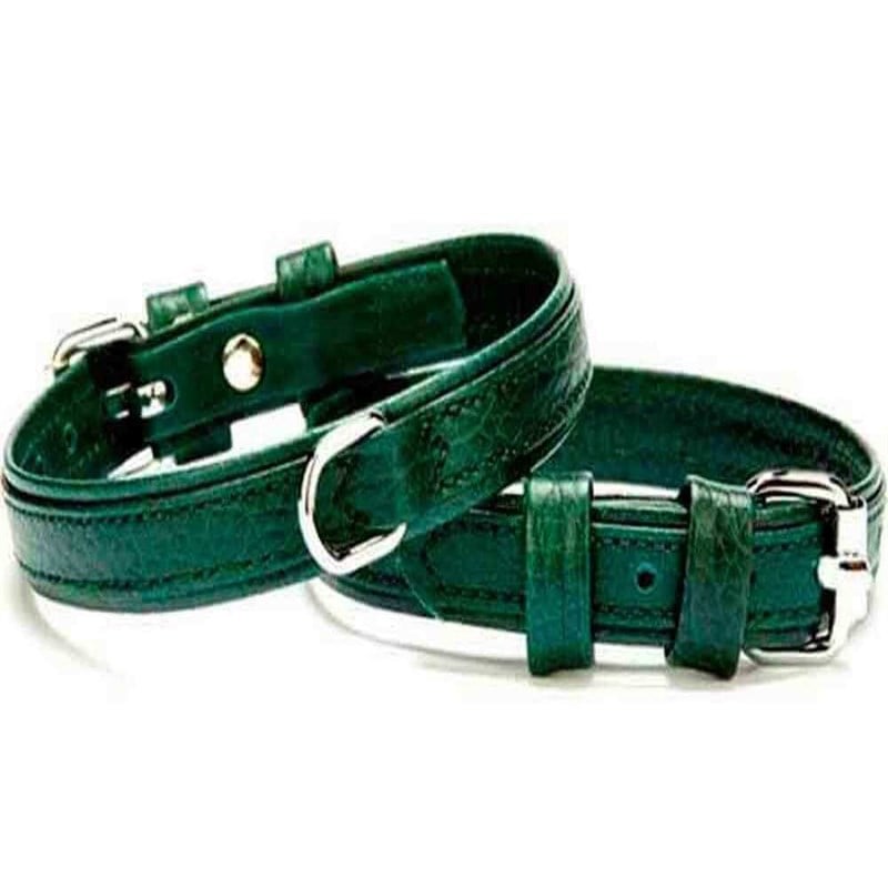 Doggie Flotter Deri Sade Boyun Tasması Yeşil 1,5X35 cm 8680782107719 Doggie Köpek Boyun Tasmaları Amazon Pet Center
