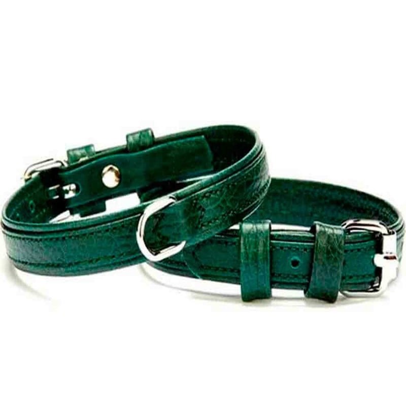 Doggie Flotter Deri Sade Boyun Tasması Yeşil 1,5X27cm 8680782107559 Doggie Köpek Boyun Tasmaları Amazon Pet Center