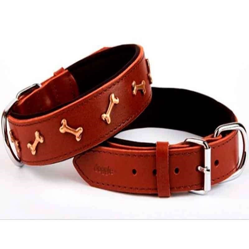 Doggie Kemik Metal Süslü Deri Boyun Tasması Kahve 3.5x70cm 8680782125089 Doggie Köpek Boyun Tasmaları Amazon Pet Center
