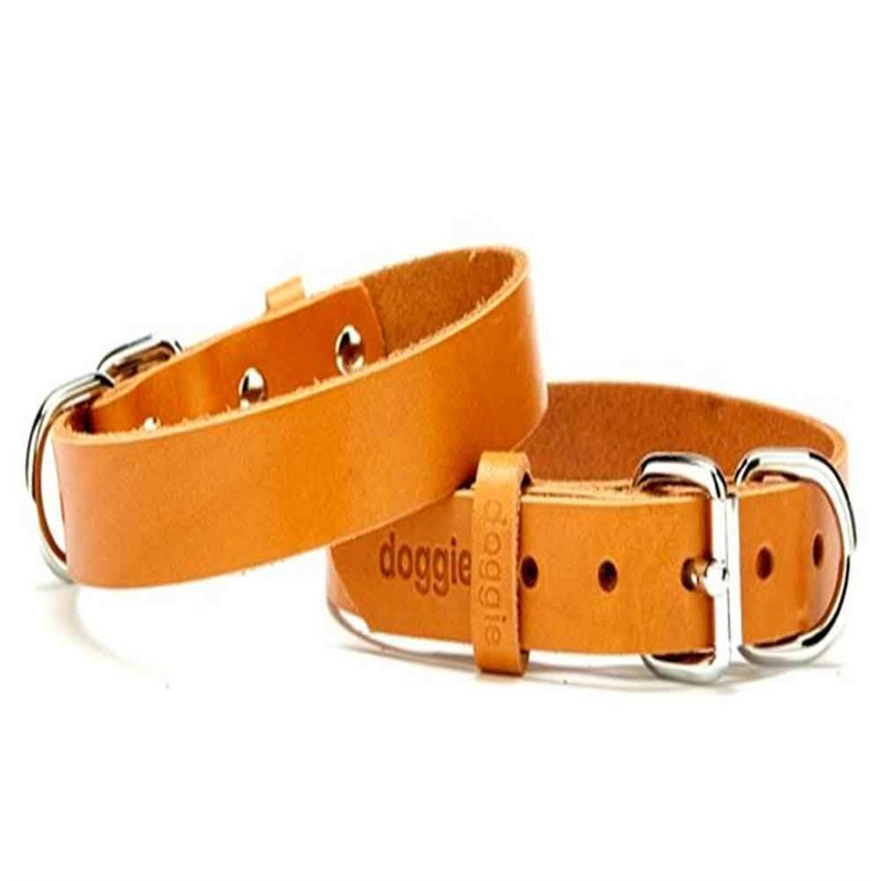 Doggie Klasik Sade Deri Boyun Tasması kamel  SBT-2010 S  2,0x40 cm 8680782100154 Doggie Köpek Boyun Tasmaları Amazon Pet Center