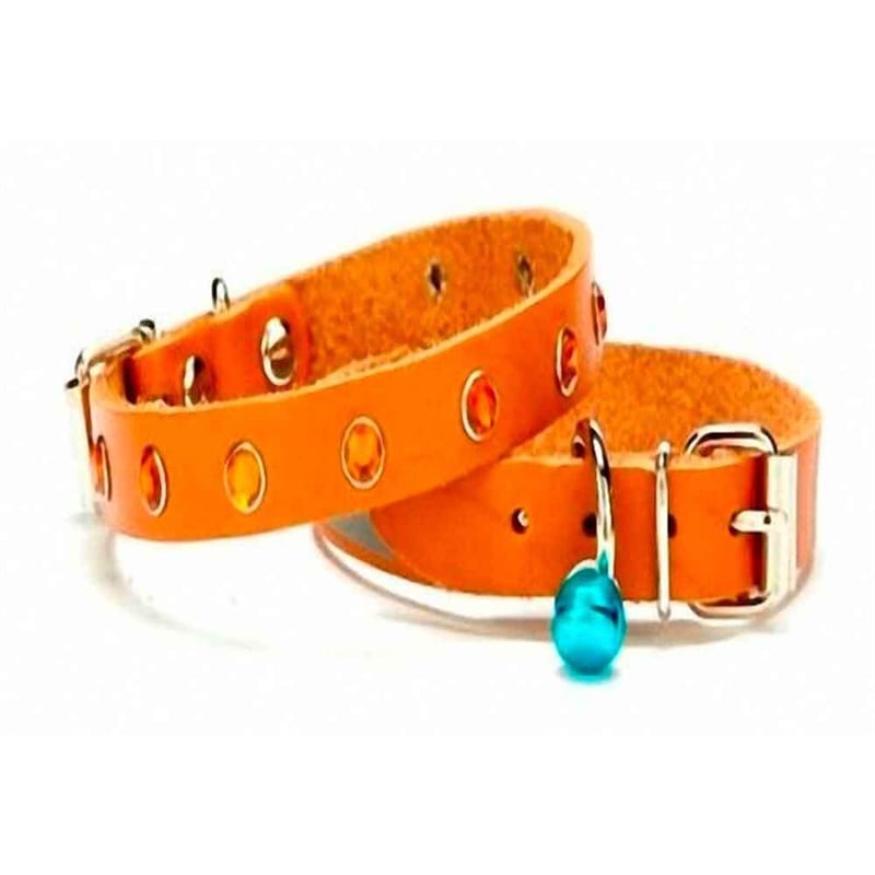 Doggie Nazar Boncuklu Kedi ve Yavru Köpek Tasması Camel 1,5*35 Cm 8680782122057 Doggie Kedi Boyun Tasmaları Amazon Pet Center