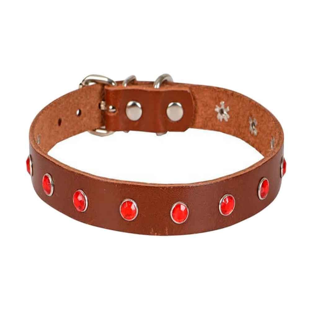 Doggie Taşlı Kahverengi Deri Boyun Tasması BKT 15 8680782122026 Amazon Pet Center