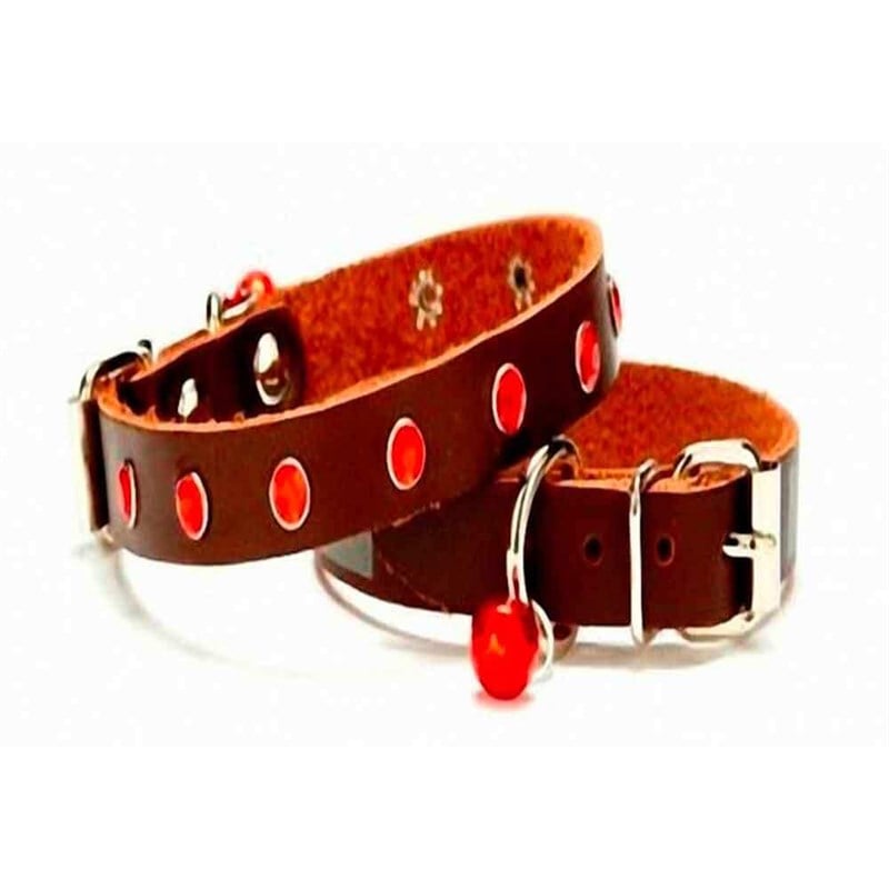 Doggie Taşlı Kedi ve Yavru Köpek Tasması Kahverengi 1,2*26 Cm 8680782121975 Doggie Kedi Boyun Tasmaları Amazon Pet Center