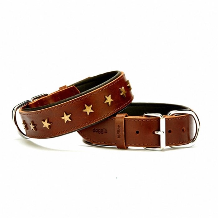 Doggie Yıldız Metal Süslü Deri Köpek Boyun Tasması Kahve SBT-3560