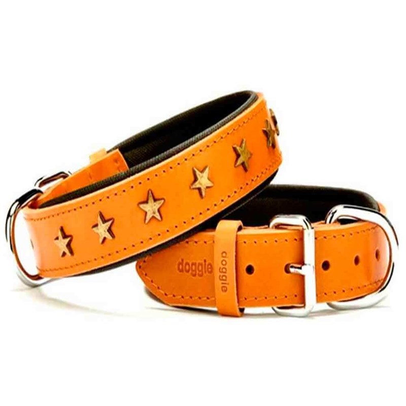 Doggie Yıldız Metal Süslü Köpek Deri Boyun Tasması Karamel SBT-3060 M 8680782104312 Doggie Köpek Boyun Tasmaları Amazon Pet Center