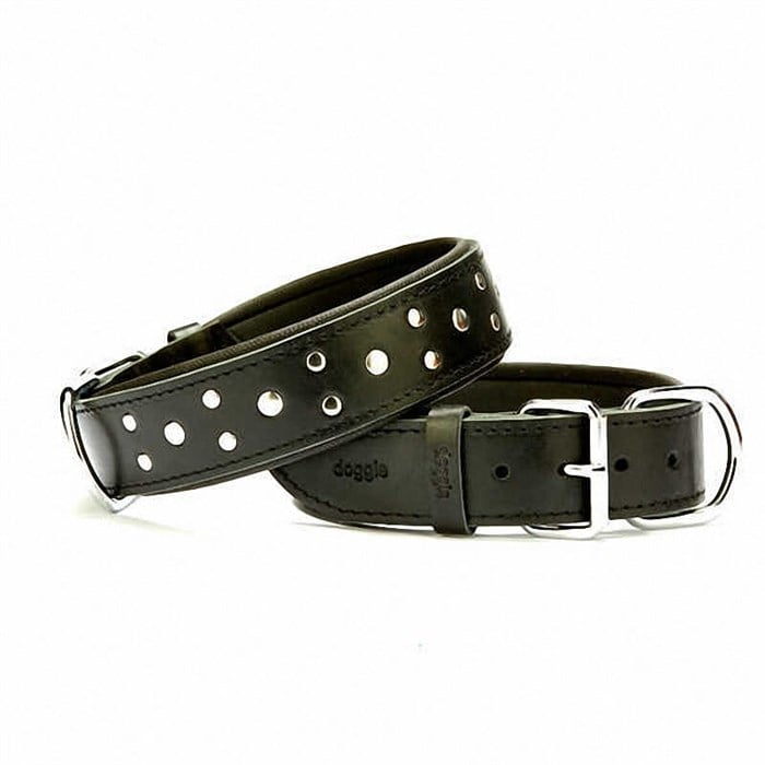 Doggie Yumuşak Dokulu Rivetli Köpek Boyun Tasması Siyah SBT-4011 L