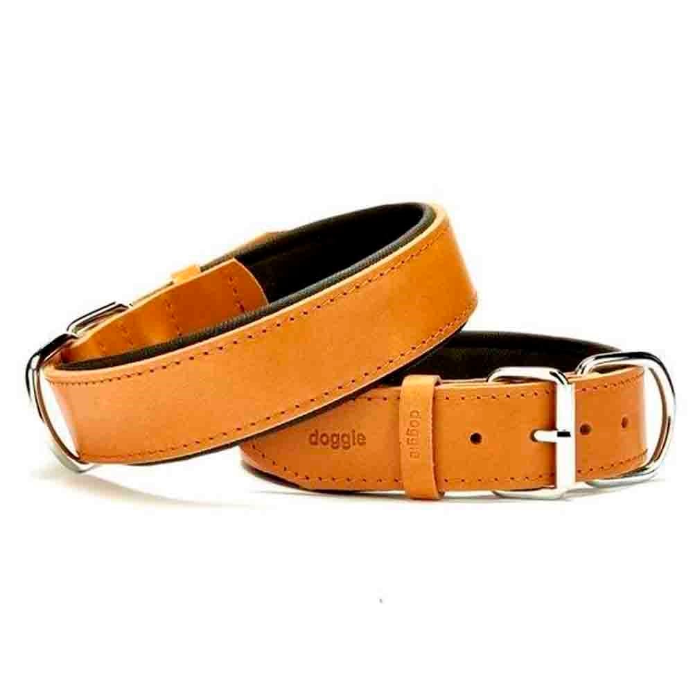 Doggie Yumuşak Dokulu Sade Köpek Boyun Tasması 4012 L Camel 8680782100505 Amazon Pet Center