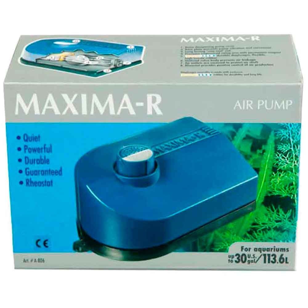 Elite Maxima Akvaryum Hava Motoru Çift Çıkışlı A806 015561108065 Elite Akvaryum Hava Motorları Amazon Pet Center