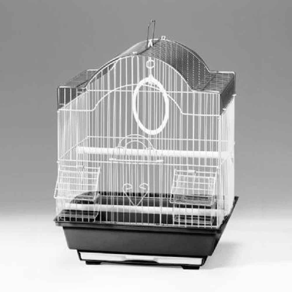 Euro Gold Kuş Kafesi Oval Çatılı Karışık Renkli 1103A 32111811 Amazon Pet Center