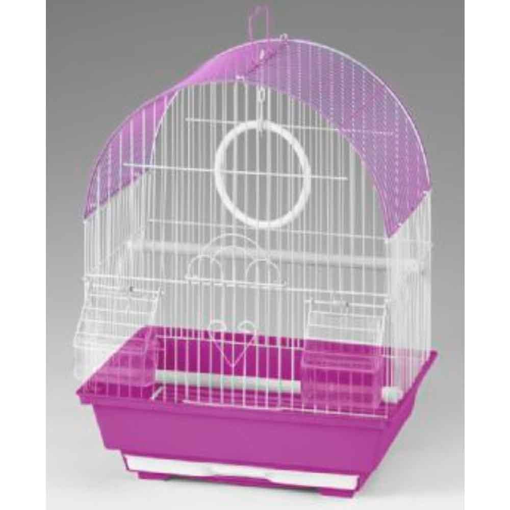 Euro Gold Kuş Kafesi Renkli 1100A 32109764 Amazon Pet Center