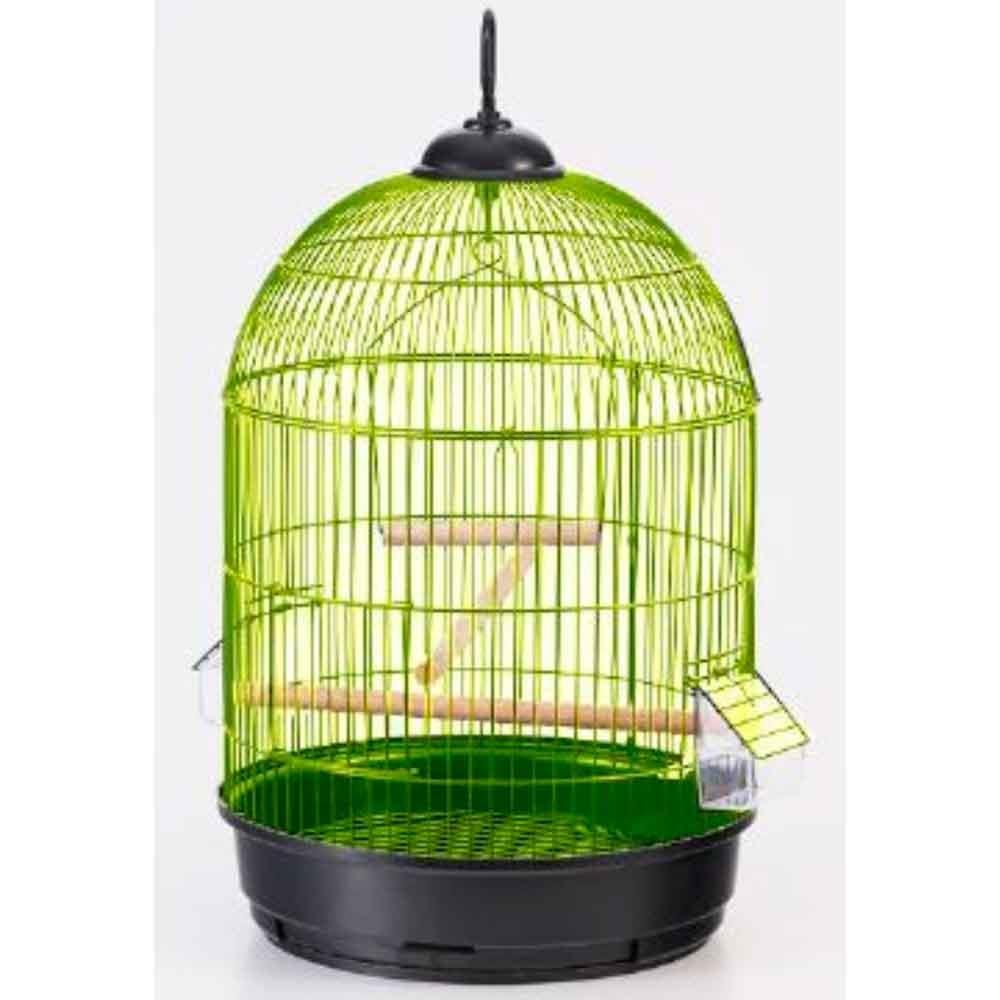 Euro Gold Yuvarlak Salon Kafesi Pirinç (ø34x55 cm) – F3105AG 21985003 Amazon Pet Center