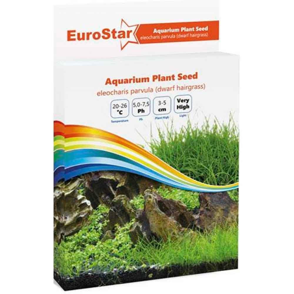 Eurostar Bitki Tohumu Eleocharis Parvula 8681144115038 Amazon Pet Center