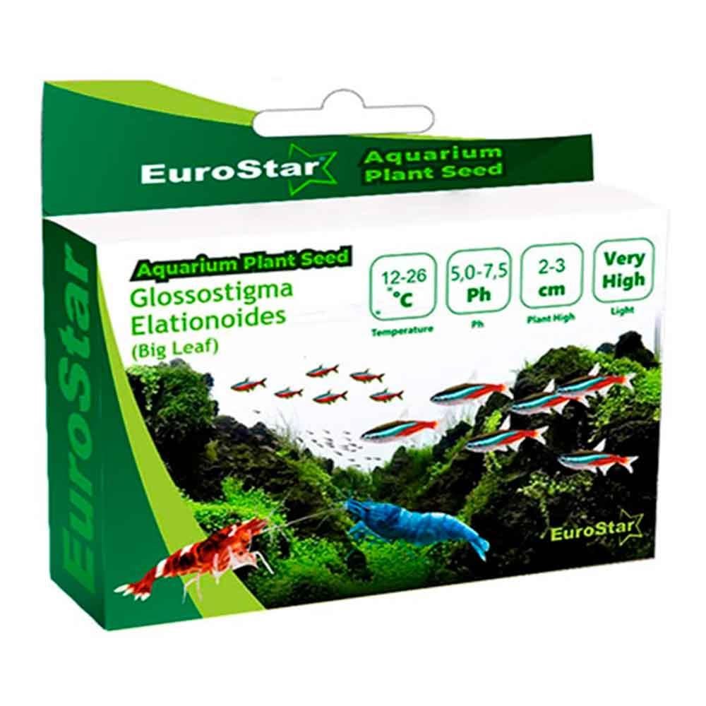 Eurostar Bitki Tohumu Glossostigma Elatinoides 8681144115014 Amazon Pet Center