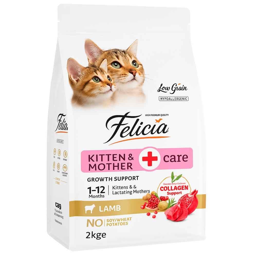 Felicia Düşük Tahıllı Kuzulu Yavru Kedi Maması 2 kg 8681299606689 Amazon Pet Center