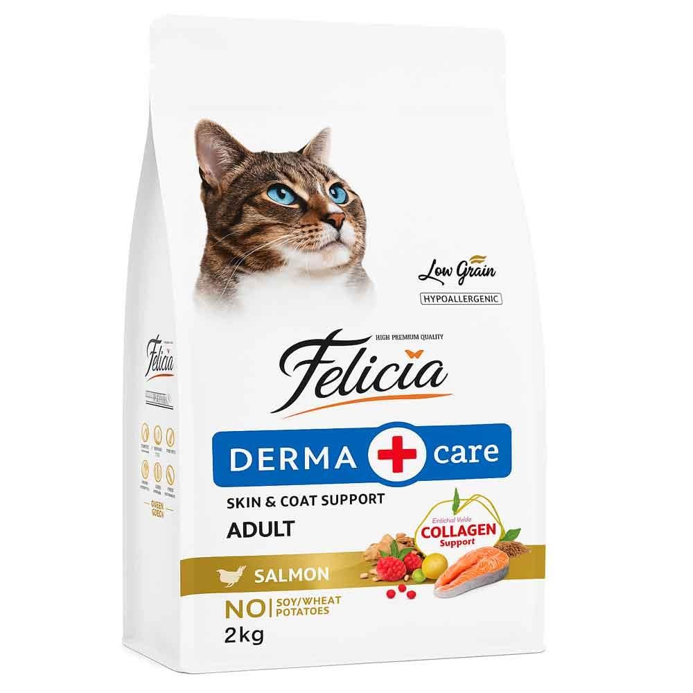 Felicia Kedi Maması Somonlu Az Tahıllı 2 Kg 8681299601301 Amazon Pet Center