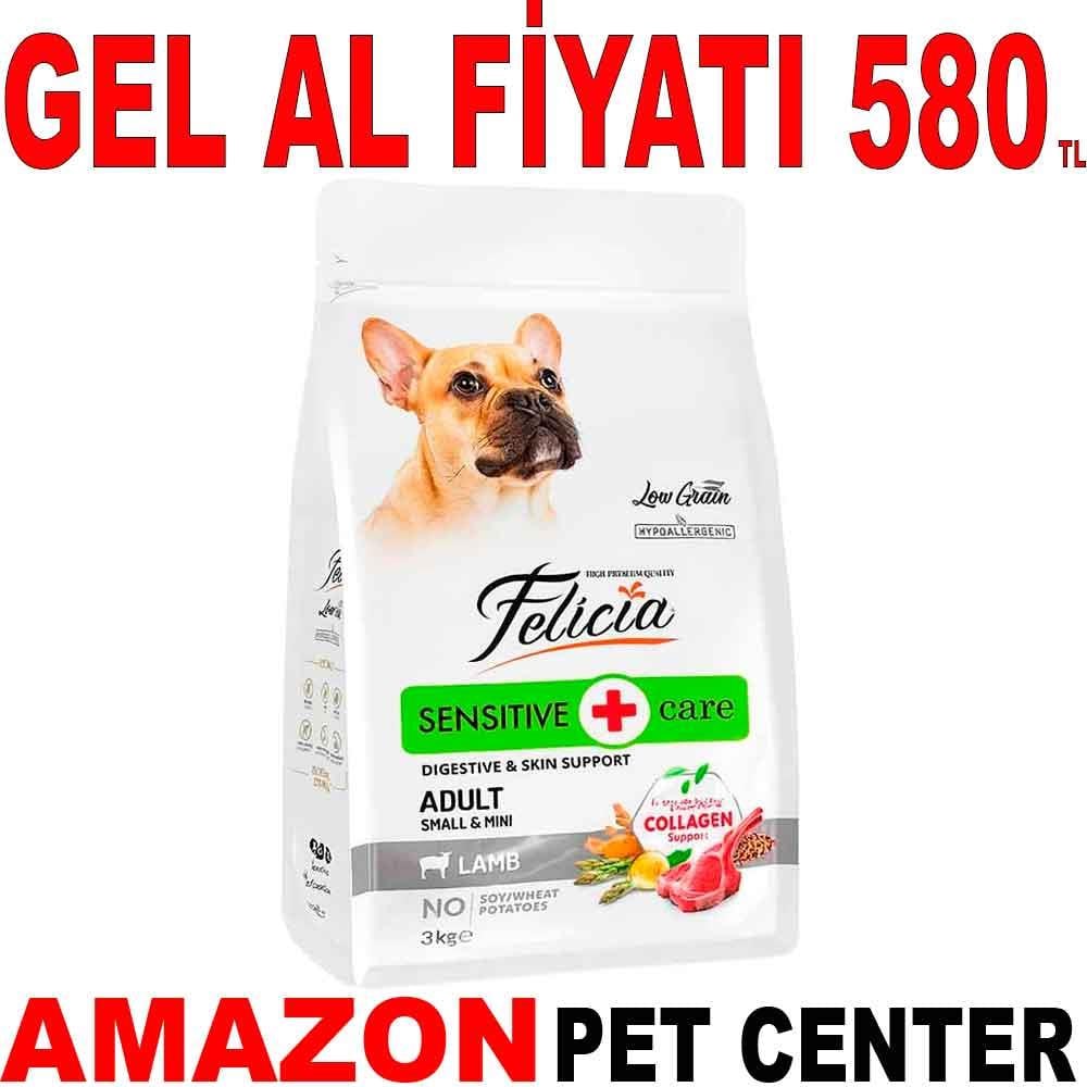 Felicia Kuzu Etli Köpek Maması S/M Az Tahıllı 3 kg 18264005 Amazon Pet Center