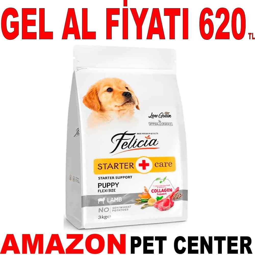 Felicia Kuzu Etli Yavru Köpek Maması S/M Az Tahıllı 3 Kg 18261004 Amazon Pet Center