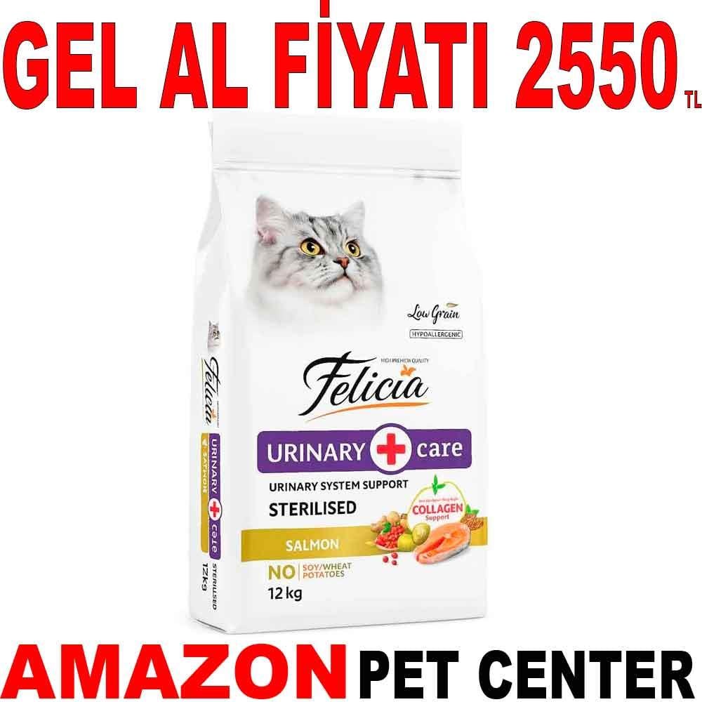 Felicia Sterilised Somonlu Kedi Maması 12 Kg 18449006 Amazon Pet Center
