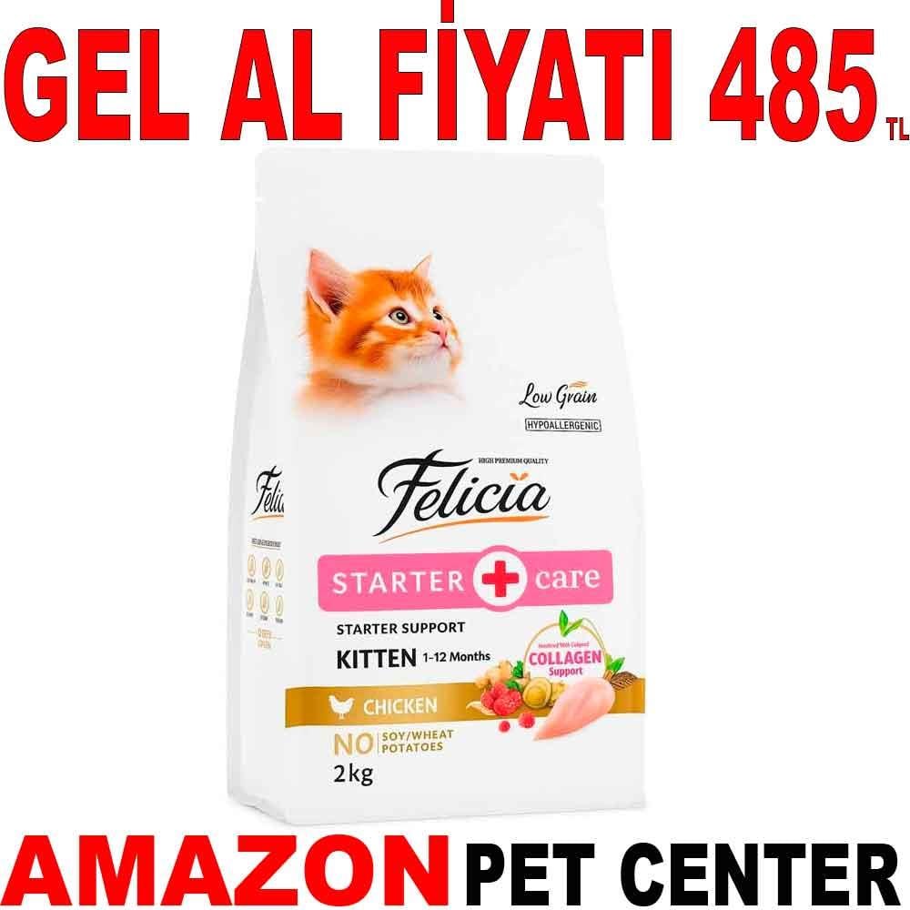 Felicia Yavru Kedi Maması 2 Kg 18448009 Amazon Pet Center
