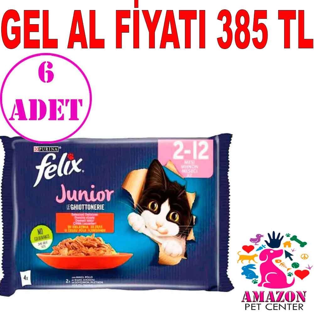 Felix Junior Yavru Kedi Maması 4 x 85 Gr 6 AD 21088001 Amazon Pet Center