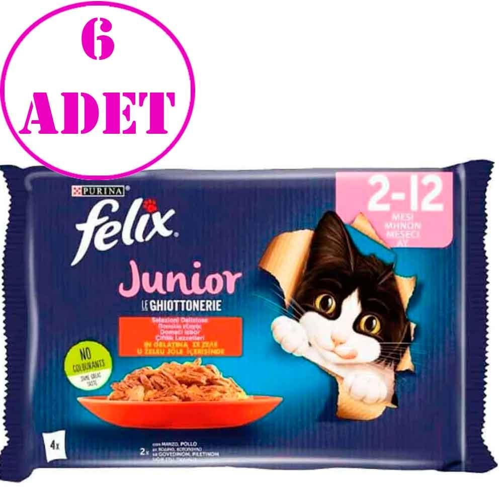 Felix Junior Yavru Kedi Maması 4 x 85 Gr 6 AD 21087004 Amazon Pet Center