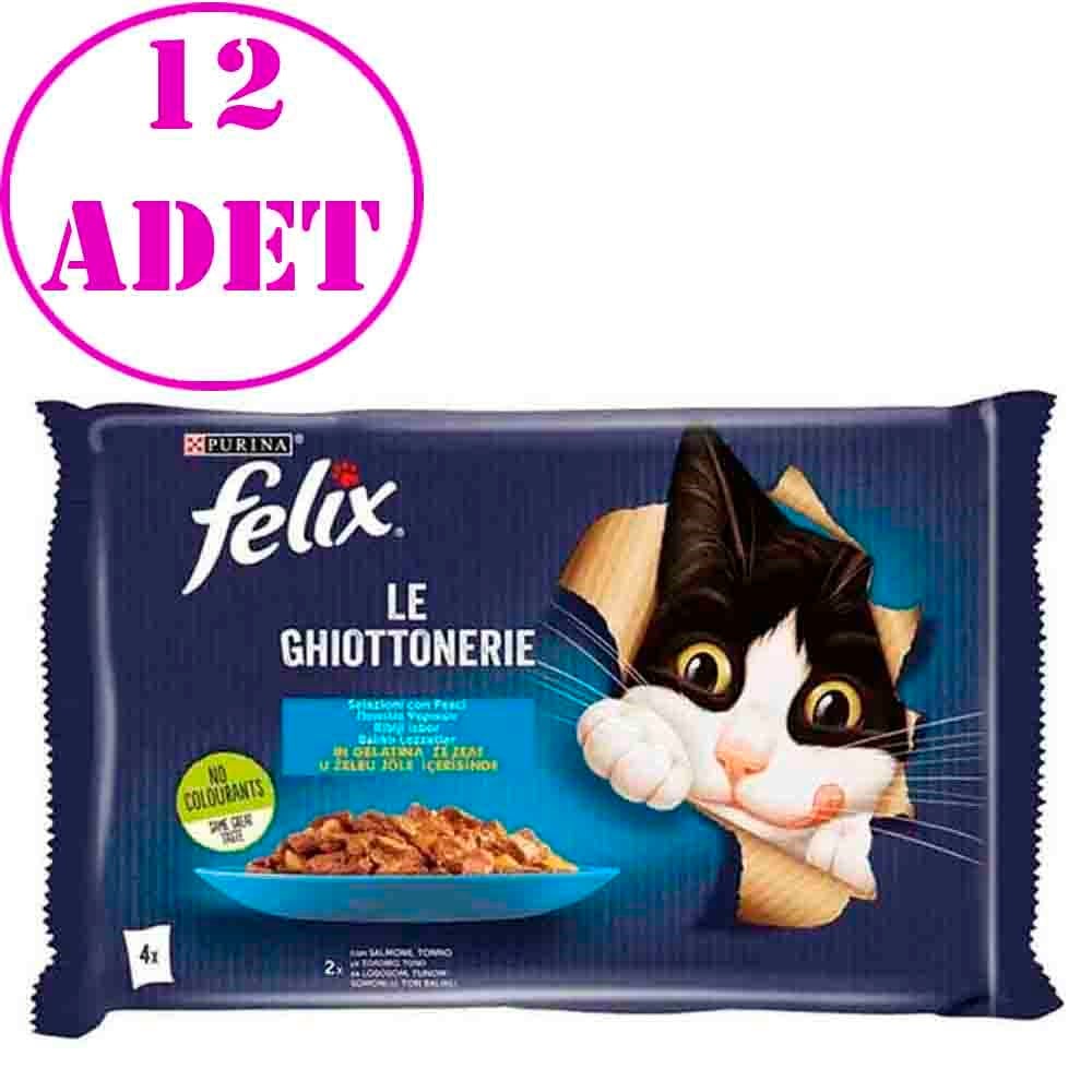Felix Multipack Somonlu ve Ton Balıklı Yetişkin Kedi Yaş Maması 4x85 Gr 12 Adet 32132083 Amazon Pet Center