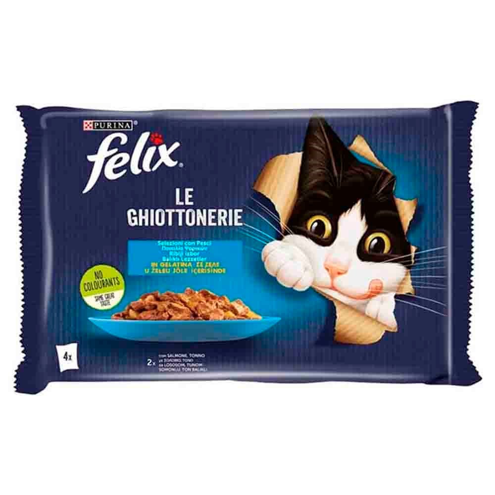 Felix Multipack Somonlu ve Ton Balıklı Yetişkin Kedi Yaş Maması 4x85 Gr 7613287487162 Amazon Pet Center