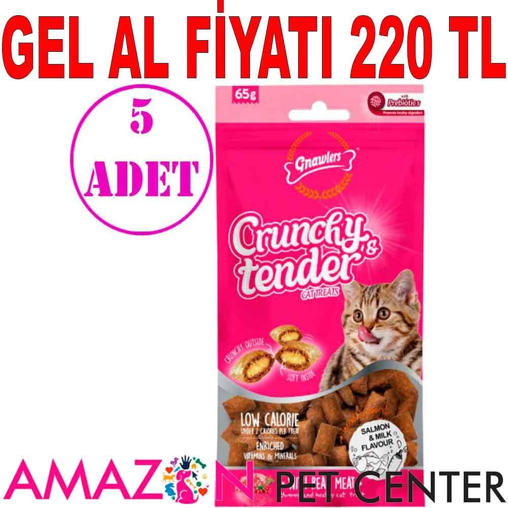 Gnawlers Kedi Ödülü Crunchy & Tender Somonlu ve Sütlü 65 Gr 5 AD 21487002 Amazon Pet Center