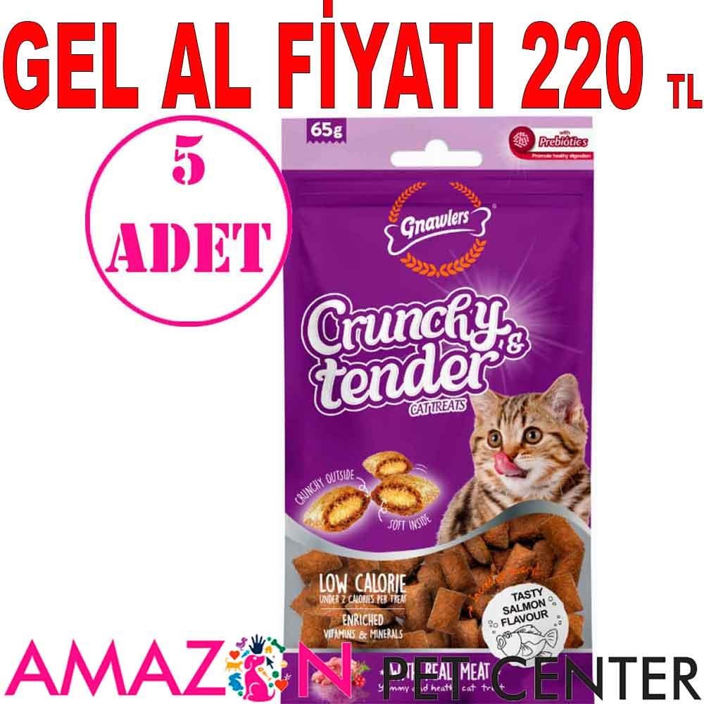 Gnawlers Kedi Ödülü Crunchy & Tender Somonlu 65 Gr 5 AD 21548000 Amazon Pet Center